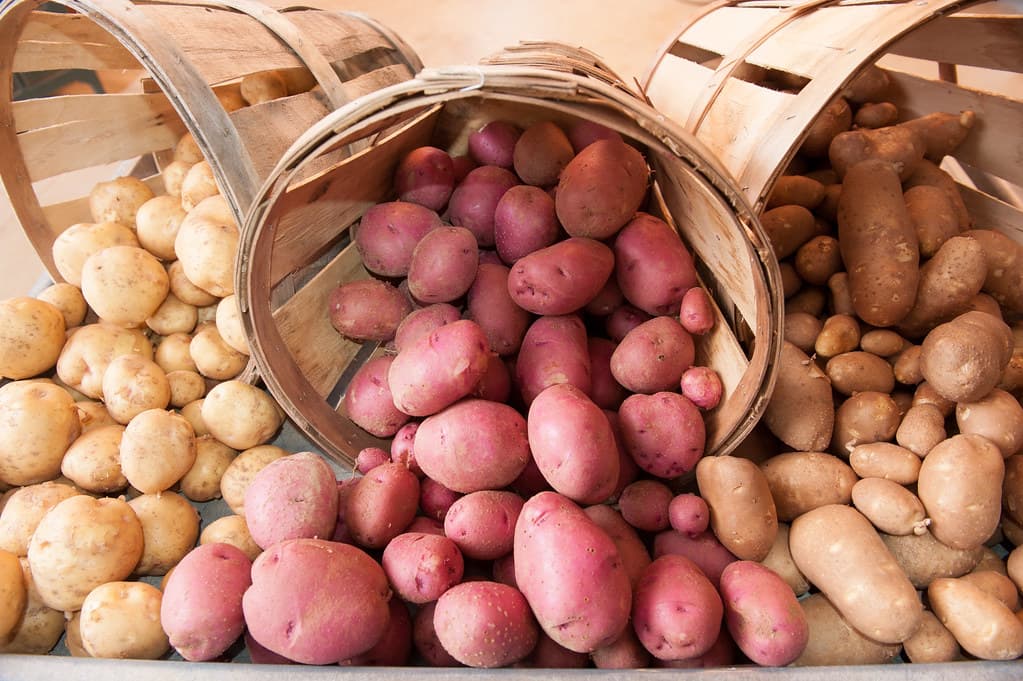 Roots & Tubers
