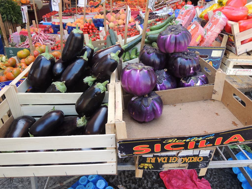 Brinjal Long