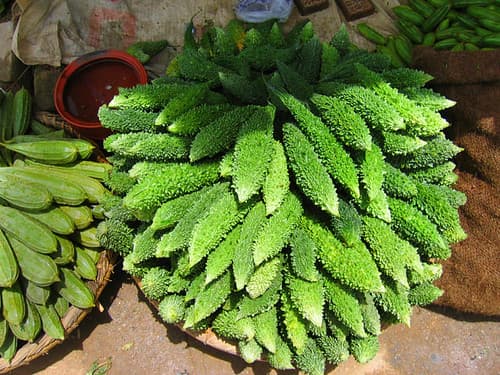 Bitter Gourd (Karela)